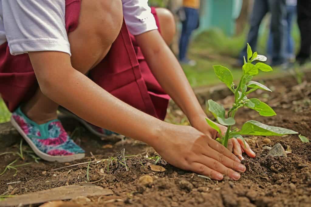 Nachhaltige Finanzprodukte - Kind pflanzt einen Baum